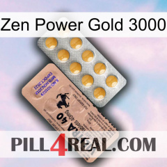 Zen Power Gold 3000 41